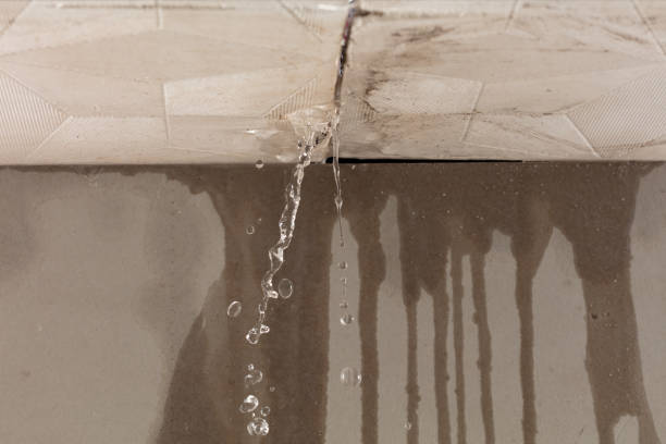 Professional Water Damage Restoration technician working in Romayor, TX